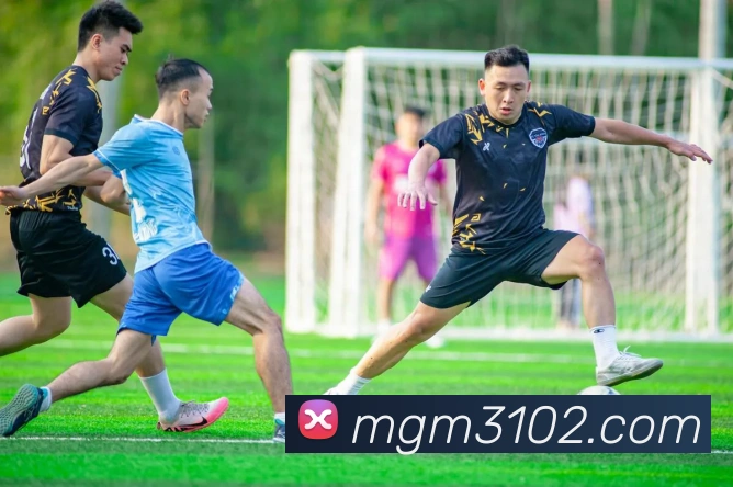 美高梅mgm官网平台生态图